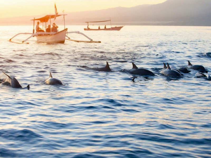 Trip #1 Wisata Bali 3 Hari 2 Malam Lovina (4)