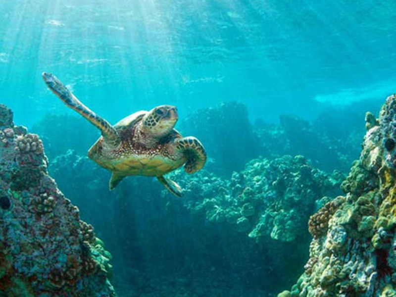 Trip #4 Wisata 5 Hari ke Bali 5D4N Bali Fantastic (9)