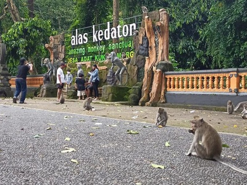 alas-kedaton_169_800x600