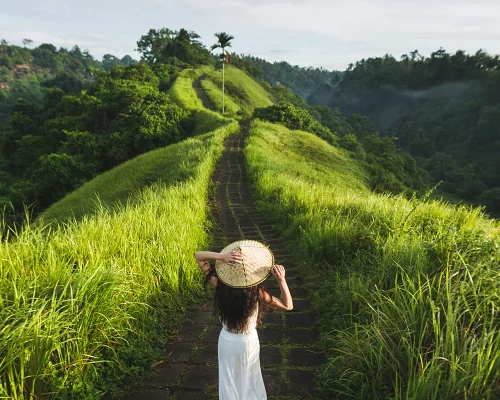 Campuhan Ridge Walk